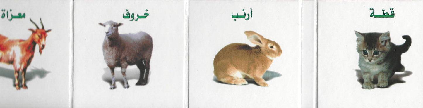 كتابي الصغير , - Daybreak Press Global Bookshop, Daybreak Press Global Bookshop
- 3