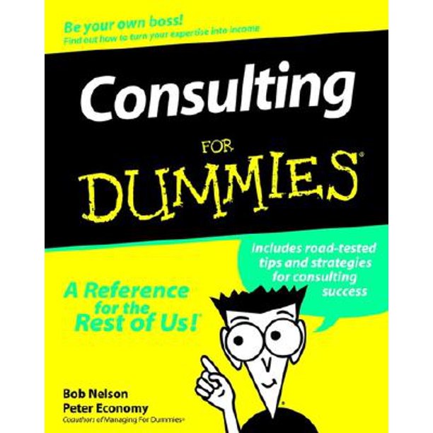 Consulting for Dummies (Bargain Books)