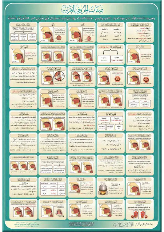 صفات الحروف العربية - Sifat al-Huruf al-'Arabiyya Poster Board