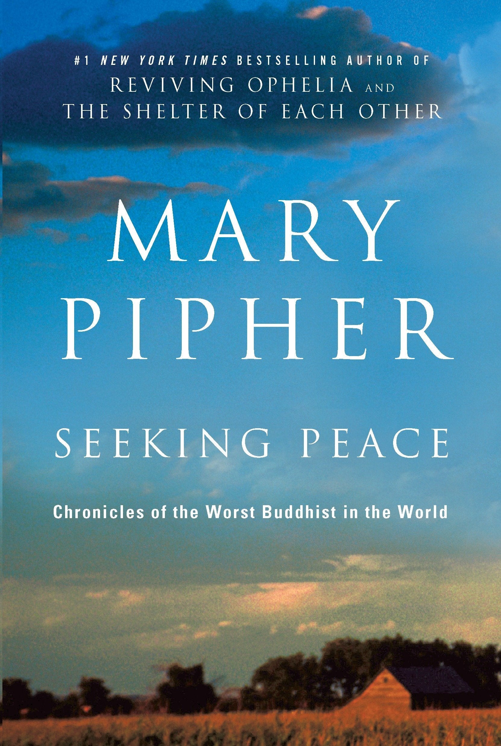 Seeking Peace: Chronicles of the Worst Buddhist in the World